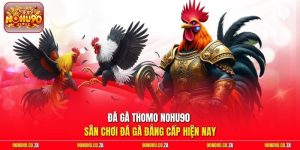 Đá gà Thomo Nohu90 -  Sân Chơi Đá Gà Đẳng Cấp Hiện Nay